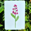 Roze bloem - Image 2