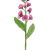 Roze bloem