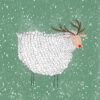 Schaap Rudolf, groen