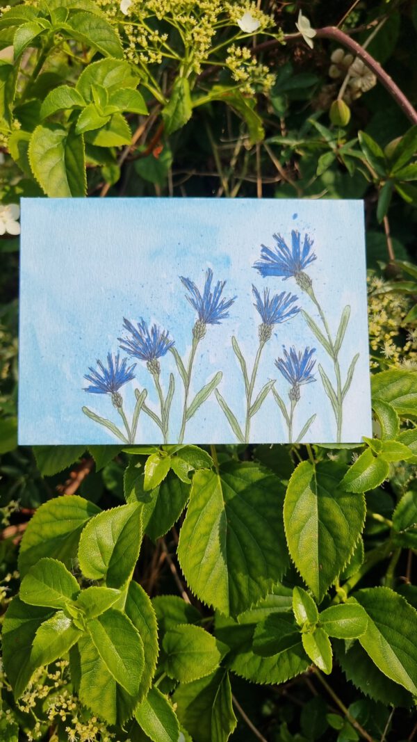Korenbloemen - Image 2