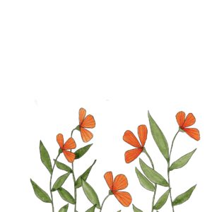 Oranje bloemetjes