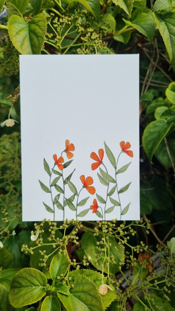 Oranje bloemetjes - Image 2