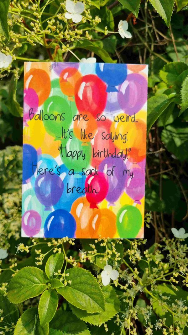 Ballonnen - Image 2