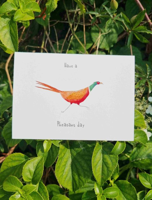 Have a pheasant day - Image 2