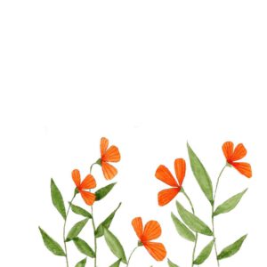 Oranje bloemetjes