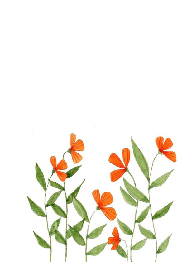 Oranje bloemetjes