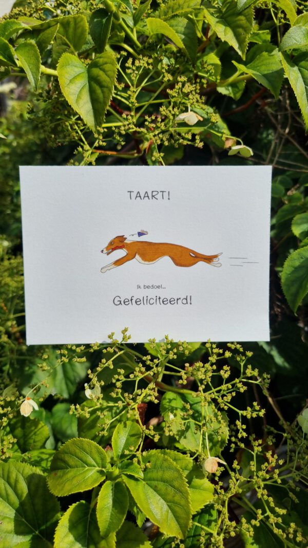 TAART! - Image 2