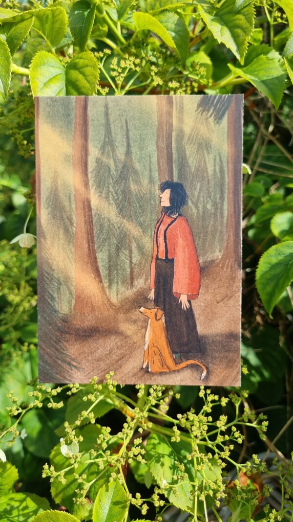 Genieten van het bos - Image 2