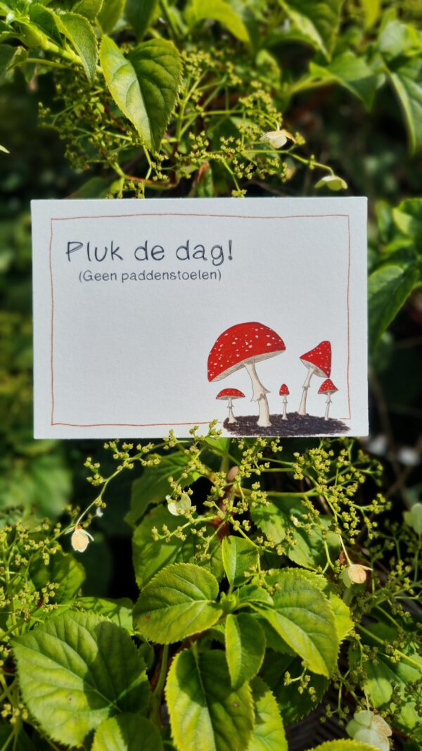 Pluk de dag - Image 2