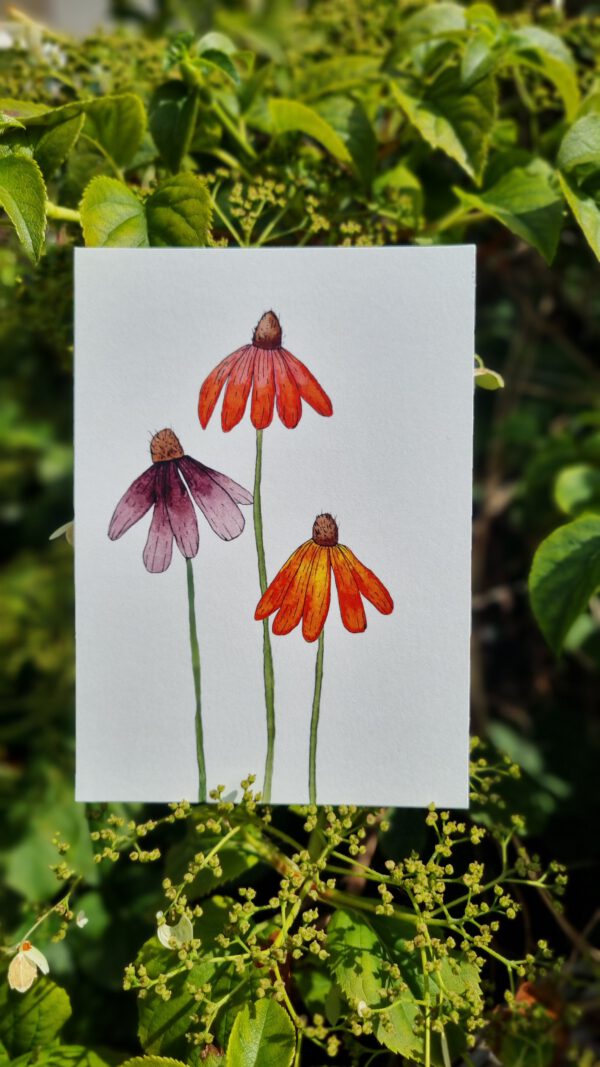 Zonnehoed bloemen - Image 2