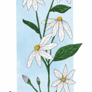 Boekenlegger, margriet