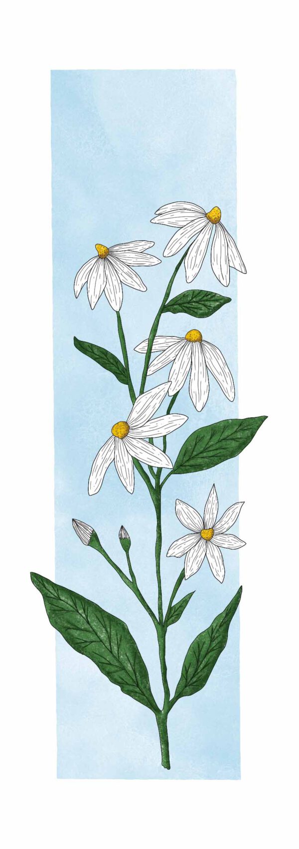 Boekenlegger, margriet