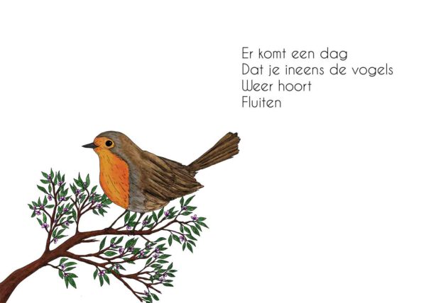 Roodborstje