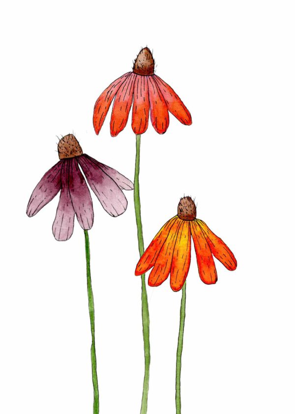 Zonnehoed bloemen