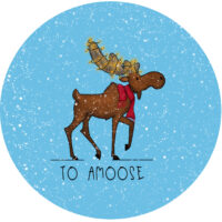 To Amoose